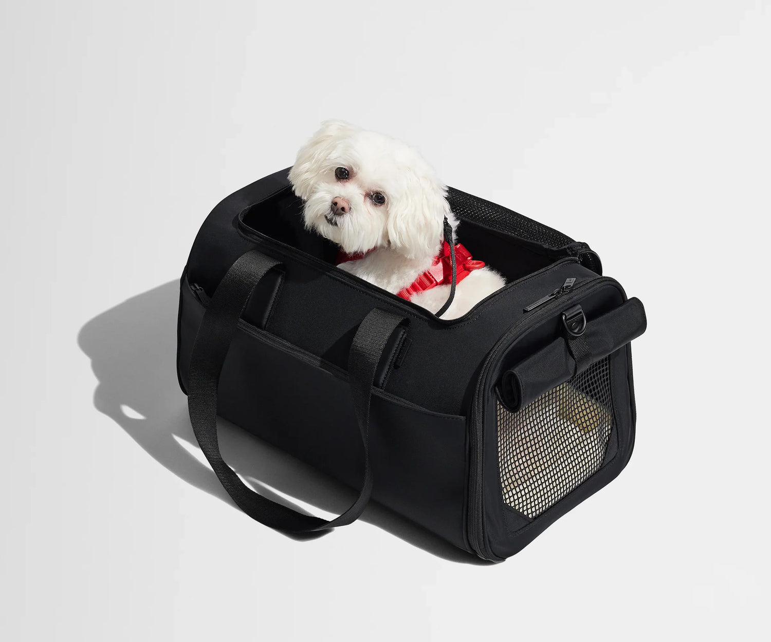 Pet Carrier